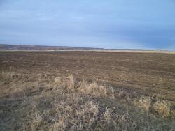 post-7121-0-74411900-1366041119_thumb.jp