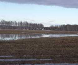 post-7121-0-97470300-1366040889_thumb.jp