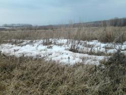 post-7566-0-12714600-1365278047_thumb.jp