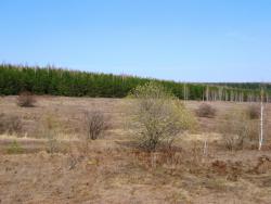 post-7566-0-53777100-1366737830_thumb.jp