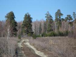 post-7566-0-97878000-1365968647_thumb.jp