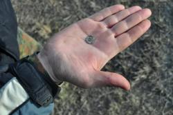 post-7597-0-41528900-1365959323_thumb.jp