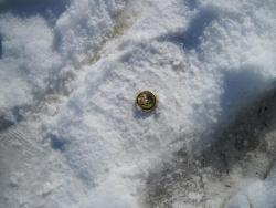 post-7899-0-85932200-1365071066_thumb.jp