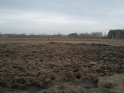 post-8225-0-72373700-1366540678_thumb.jp