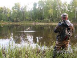 post-8942-0-71721800-1365993616_thumb.jp