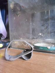 post-9966-0-37716800-1366115672_thumb.jp