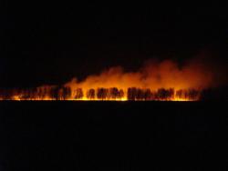 post-10462-0-03593800-1398681078_thumb.j