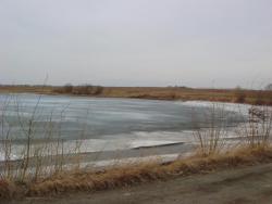 post-10462-0-39457800-1397057191_thumb.j