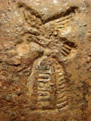 post-10462-0-41858700-1396372269_thumb.j