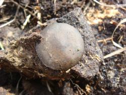 post-10462-0-69911300-1397057372_thumb.j