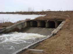 post-10462-0-82899200-1397057226_thumb.j