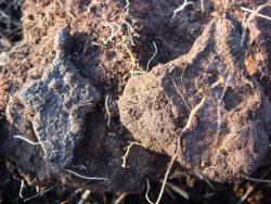 post-10462-0-83664700-1396372234_thumb.j