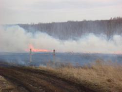 post-10462-0-91625000-1397057245_thumb.j