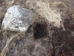 post-10462-0-96548800-1397057351_thumb.j