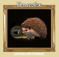 post-11338-0-26238600-1396791549_thumb.j