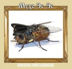 post-11338-0-53415400-1396791680_thumb.j