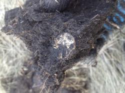 post-12363-0-50200000-1396932778_thumb.j