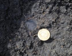 post-12363-0-50307000-1396932744_thumb.j