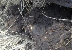 post-12363-0-53517200-1396932397_thumb.j