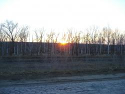 post-12373-0-17033200-1396868565_thumb.j