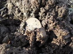 post-12373-0-18326400-1397043272_thumb.j