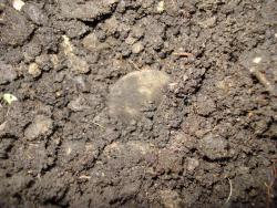 post-12373-0-46701500-1397044552_thumb.j