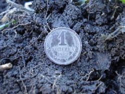 post-12373-0-48721700-1396867303_thumb.j