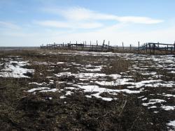 post-12373-0-60317000-1397039091_thumb.j