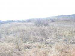 post-12373-0-69700800-1397039057_thumb.j