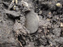 post-12373-0-72821800-1397040173_thumb.j