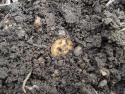 post-12373-0-77263400-1396867735_thumb.j