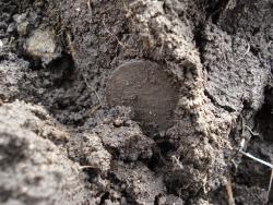 post-12373-0-78767200-1397039416_thumb.j