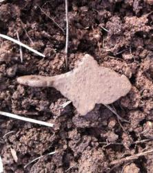 post-12604-0-00493400-1397538563_thumb.j