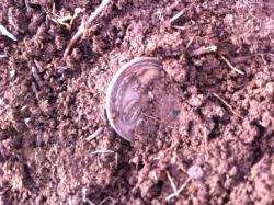 post-12604-0-00588500-1397538009_thumb.j