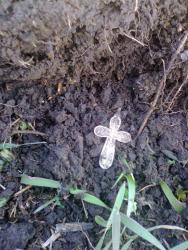 post-17557-0-13501800-1396808781_thumb.j