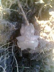 post-17557-0-39269600-1396808792_thumb.j