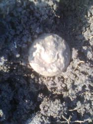 post-17557-0-44330900-1396809013_thumb.j