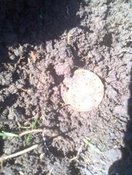 post-17557-0-50446800-1396808861_thumb.j