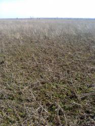 post-17557-0-63078500-1396982951_thumb.j