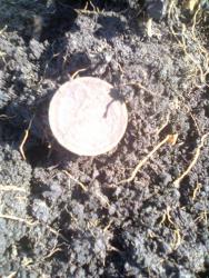 post-17557-0-81091900-1396983059_thumb.j