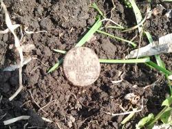 post-20472-0-21162700-1398864044_thumb.j