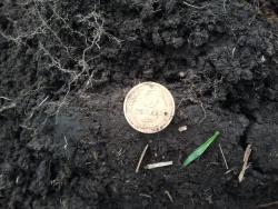 post-20472-0-29061500-1397798536_thumb.j