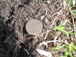 post-20472-0-57550600-1398864043_thumb.j