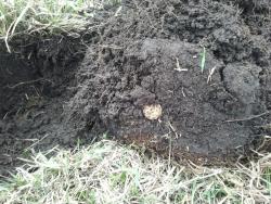 post-20472-0-73382800-1397798494_thumb.j