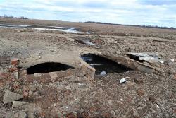 post-24328-0-03973100-1397197941_thumb.j