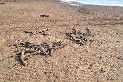 post-24328-0-18095600-1397198120_thumb.j