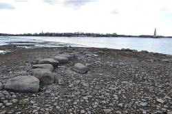 post-24328-0-36391300-1397198262_thumb.j