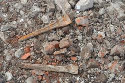 post-24328-0-43808200-1397197982_thumb.j