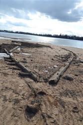 post-24328-0-55818800-1397198281_thumb.j