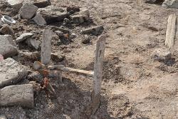 post-24328-0-65098800-1397197836_thumb.j